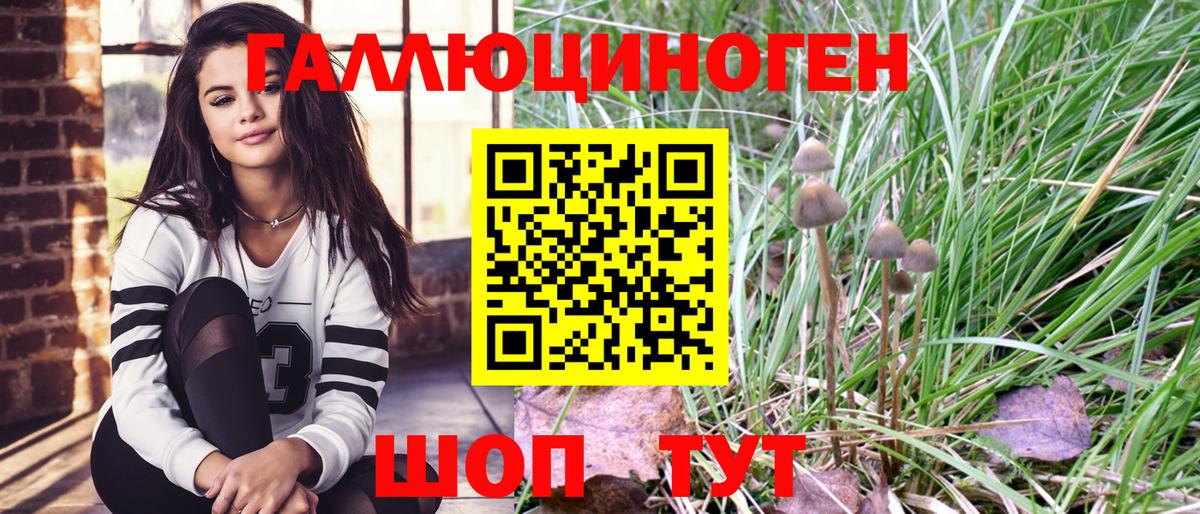 Галлюциногенные грибы Psilocybine cubensis  Вход с VPN  Галлюциногенные грибы Magic Shrooms  Обнинск 